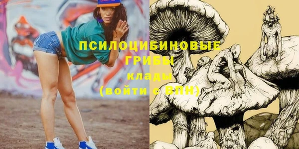 ПСИЛОЦИБИНОВЫЕ ГРИБЫ Алзамай
