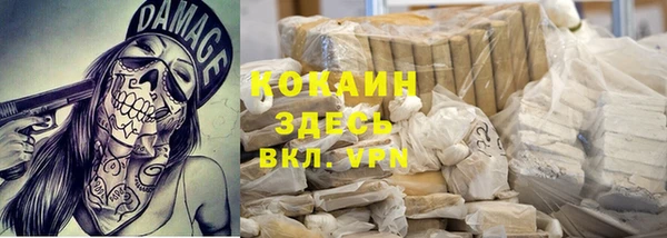 твердый Алексеевка