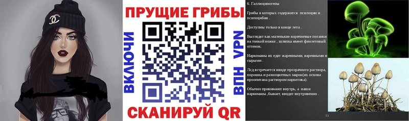 Псилоцибиновые грибы Psilocybine cubensis  купить наркотик  Солигалич 