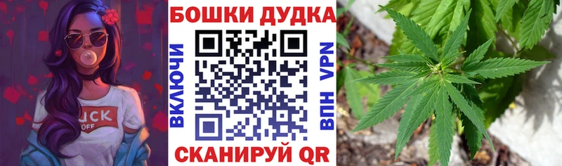 Конопля MAZAR  Солигалич 